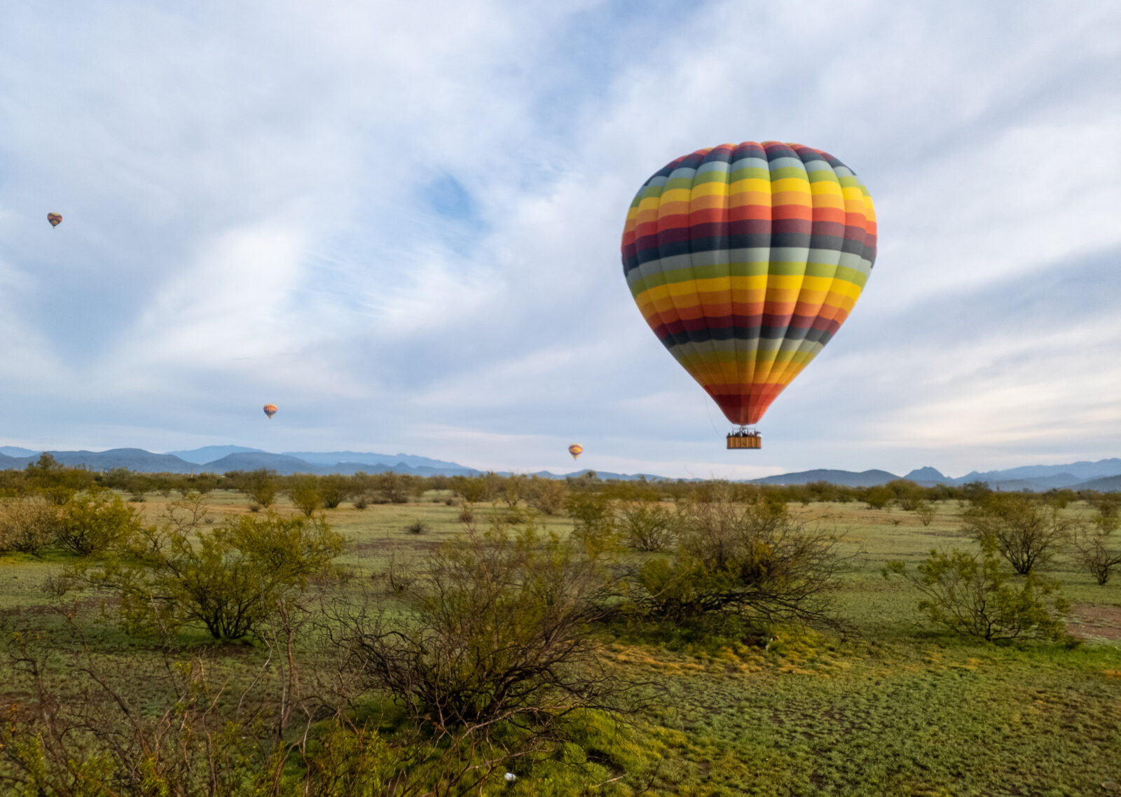 Green in the Desert - Hot Air Balloon