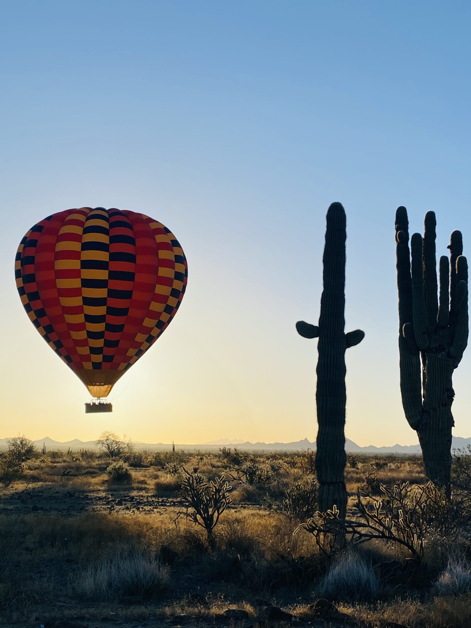 arizona-hot-air-balloon-phoenix-scottsdale-cactus