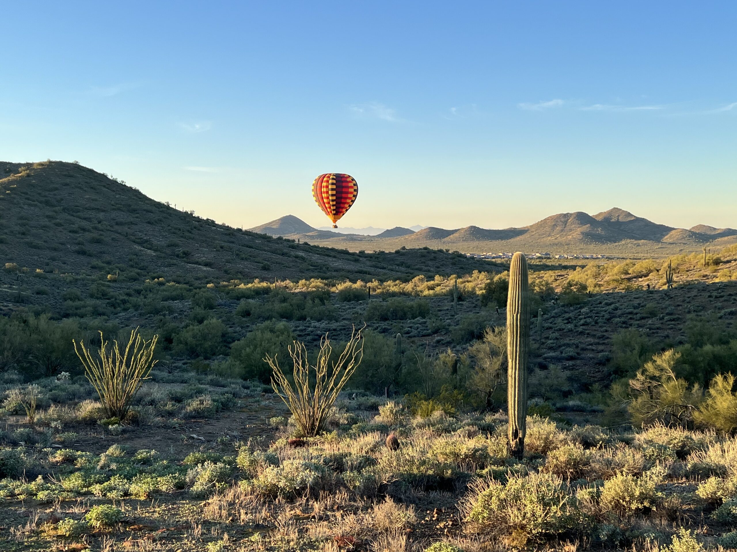 Arizona-balloons-phoenix-saguaro-cactus